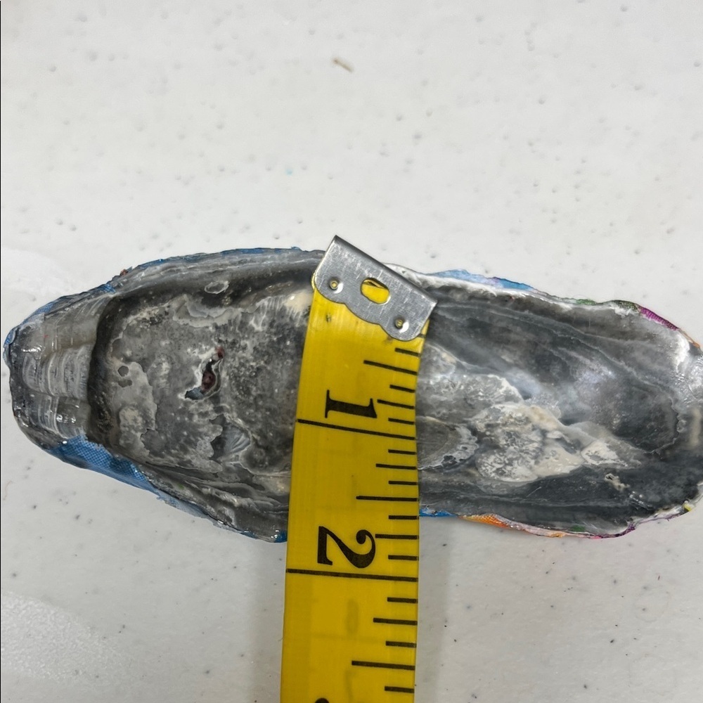 Hand Crafted Sea life Shell - Picture 11 of 11
